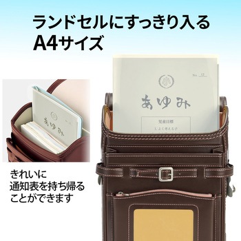 クリアホルダー 通知表ホルダー プラス(文具)