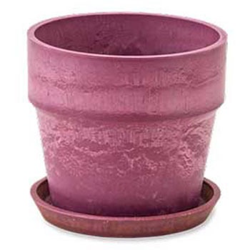 81000 �A�[�o���v�����c�|�b�g �|�b�V�����r���O 52886384