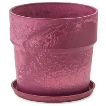 81006 �A�[�o���v�����c�|�b�g �|�b�V�����r���O 52886445