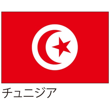 国旗(装飾・応援用) ツルハタ(服部)