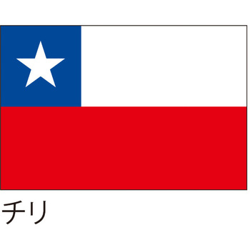 国旗(装飾・応援用) ツルハタ(服部)