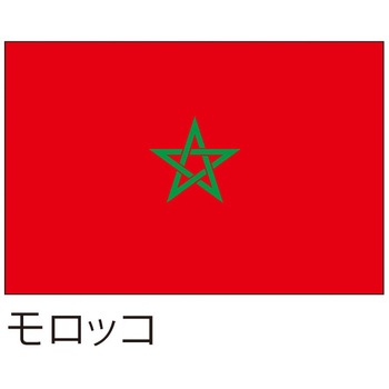 国旗(装飾・応援用) ツルハタ(服部)