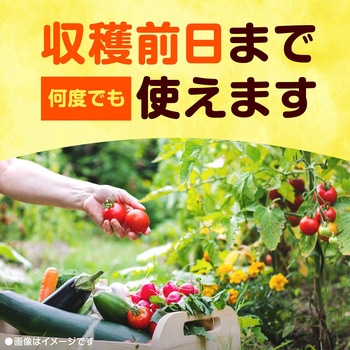 アースガーデン ロハピ アース製薬