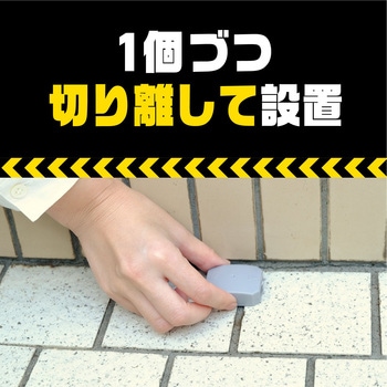 アースガーデン ナメクジ撃滅 容器入り 駆除エサタイプ アース製薬