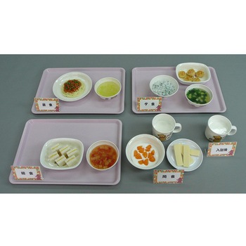 離乳食 献立モデル(Bタイプ) 45シリーズ イワイサンプル