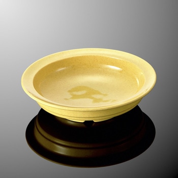 クリスタ 19cm多用皿 マルケイ(国際化工)