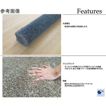 防炎 アレルブロックラグ イルミエ 13136283シリーズ スミノエ