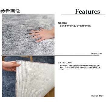 防炎 アレルブロックラグ ネオグラス スミノエ