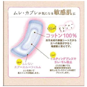 フリーネ コットン100% 羽なし 第一衛材