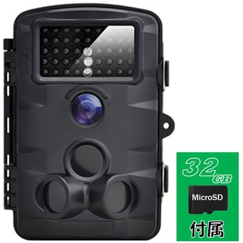 SC-ML62 トレイルカメラ 1台 新鋭 【通販モノタロウ】