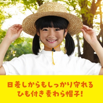 麦わらぼうし - アーテック[学校教材・教育玩具]