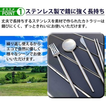カトラリー4点セット 携帯用食器 ステンレス製 分解収納 ケース付き アウトドア LandField