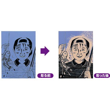 20081 J[ŉ{[h A[ebN[wZށEߋ] 52979666