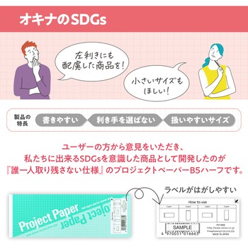 方眼ノート プロジェクトペーパー B5 ハーフサイズ オキナ