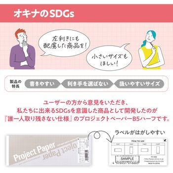 方眼ノート プロジェクトペーパー B5 ハーフサイズ オキナ