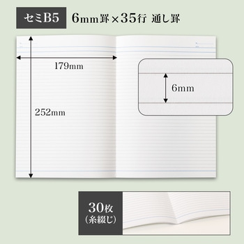 アピカノート セミB5 日本ノート