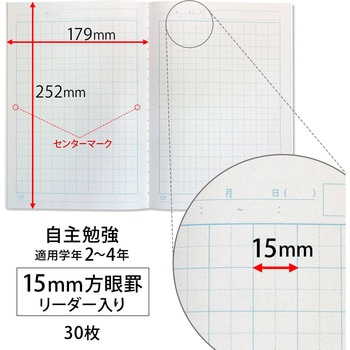 スクールキッズ 自主勉強ノート 15mm方眼罫 日本ノート
