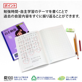 スクールキッズ 自主勉強ノート 15mm方眼罫 日本ノート