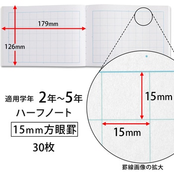 スクールキッズ ハーフノート 15mm方眼罫 日本ノート
