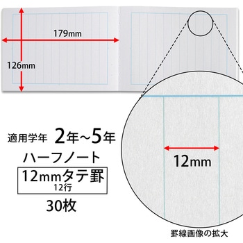 スクールキッズ ハーフノート 12mmタテ罫 日本ノート