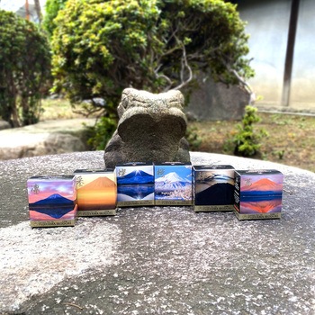ギター FUJIYAMA IRODORI 寺西化学