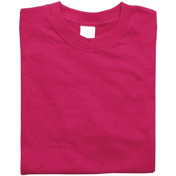 カラーTシャツ アーテック(学校教材・教育玩具)