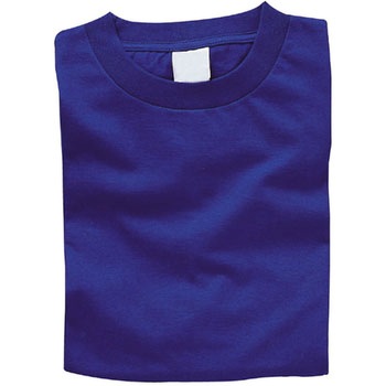 カラーTシャツ アーテック(学校教材・教育玩具)