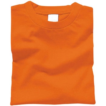 カラーTシャツ アーテック(学校教材・教育玩具)