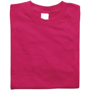 カラーTシャツ アーテック(学校教材・教育玩具)