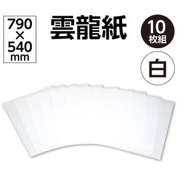39010 雲龍紙 1パック(10枚) アーテック[学校教材・教育玩具] 【通販