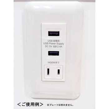 USB-R3702W 埋込USB+AC給電コンセント 1個 TERADA(寺田電機製作所 