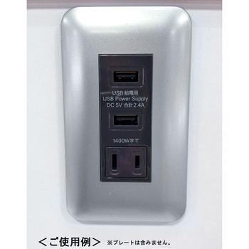 USB-R3702DG 埋込USB+AC給電コンセント 1個 TERADA(寺田電機製作所