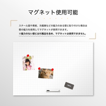 抗菌ホワイトマグネットシート暗線入り Asmix(アスカ)