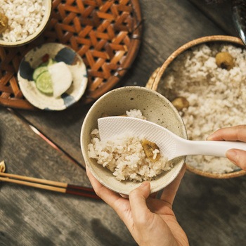 盛り詰めしゃもじ 貝印