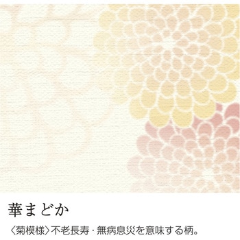 和柄用紙 和ごころ A4サイズ ササガワ