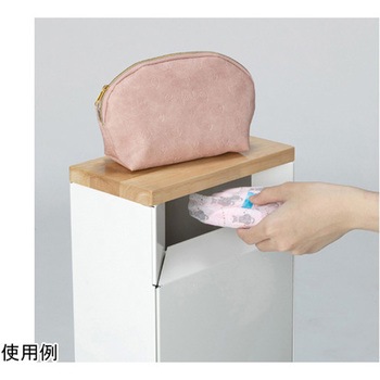 サニタリースリムボックス DSシリーズ テラモト