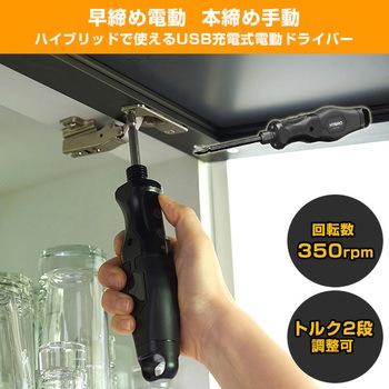 電動ドライバー USB充電式 トルク2段調整 高輝度LEDライト 両頭ビット付き