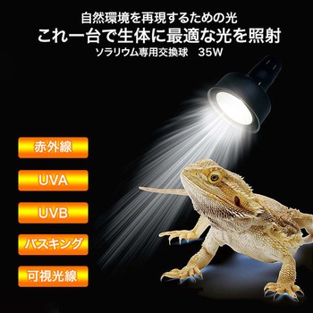 ソラリウム 交換球 ゼンスイ