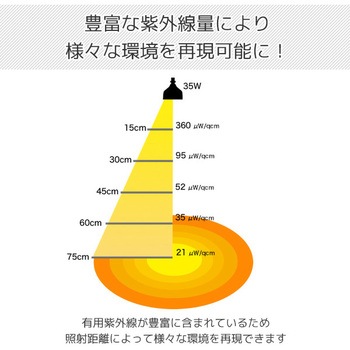 ソラリウム 交換球 ゼンスイ