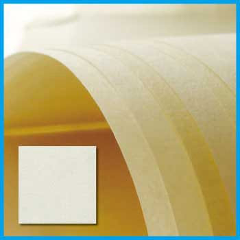 JP200 楮 白 ケイエヌトレーディング