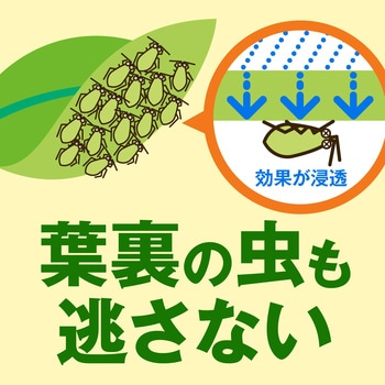 アースガーデン 野菜うまし - アース製薬