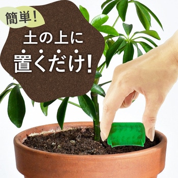 アースガーデン BotaNice 土からわいたコバエ退治 粘着剤タイプ アース製薬