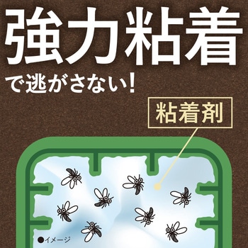 アースガーデン BotaNice 土からわいたコバエ退治 粘着剤タイプ アース製薬