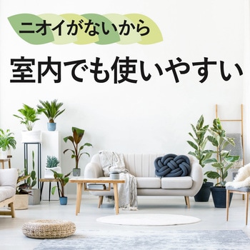 アースガーデン BotaNice 土からわいたコバエ退治 粘着剤タイプ アース製薬
