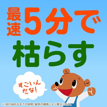 アースガーデン おうちの草コロリ アース製薬