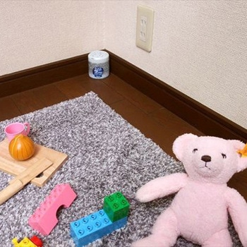 ダニコナーズ ビーズタイプ 60日 金鳥(KINCHO)