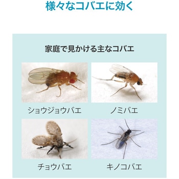おすだけコバエアーススプレー60回分 アース製薬