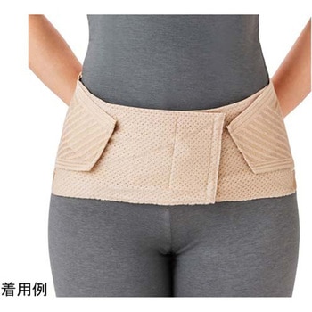 ランバックスリム 竹虎