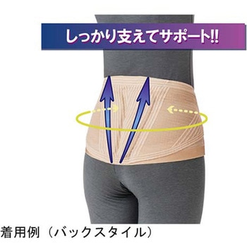 ランバックスリム 竹虎