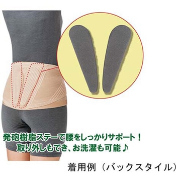 ランバックスリム 竹虎